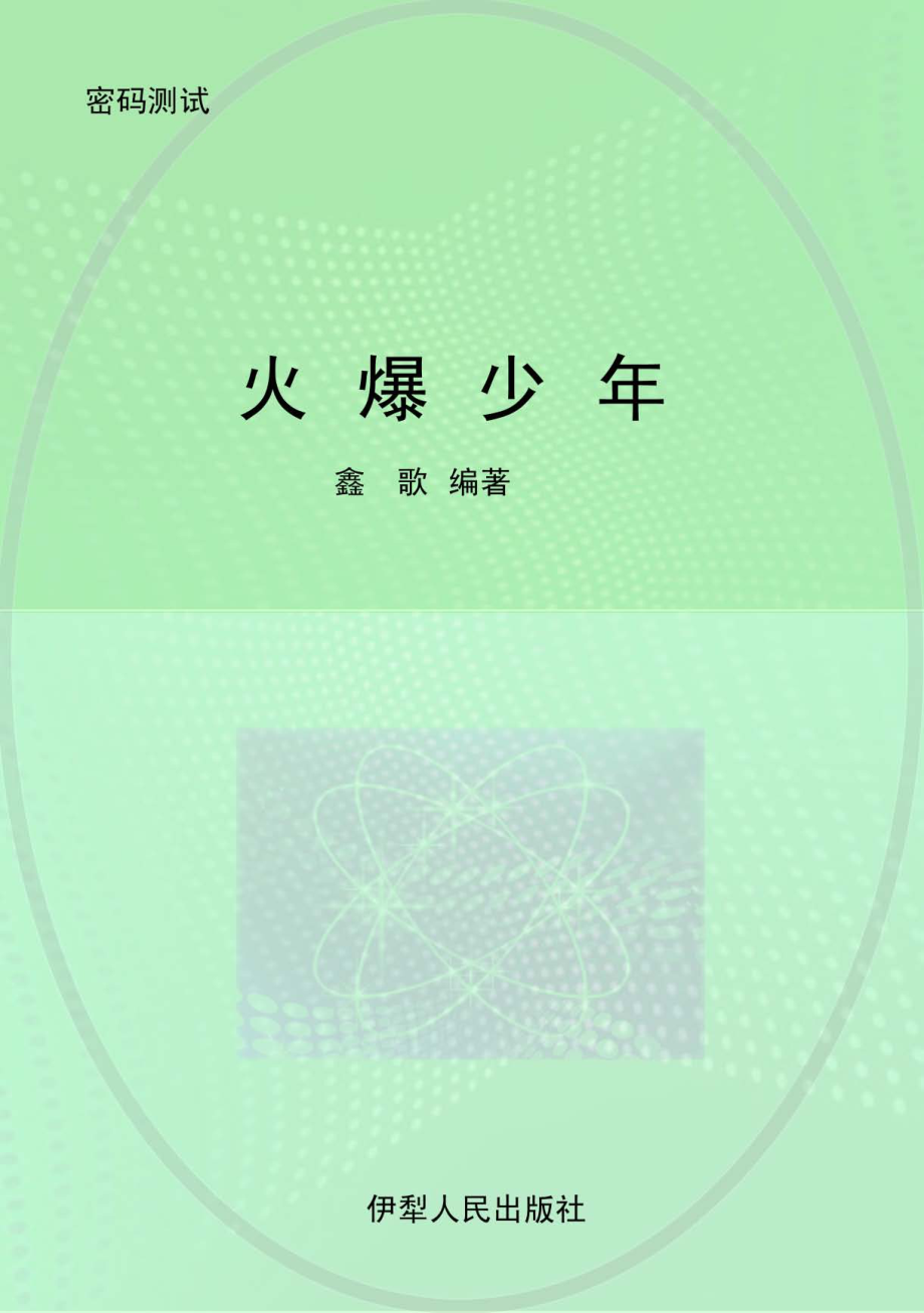 密码测试火爆少年_鑫歌编著.pdf_第1页