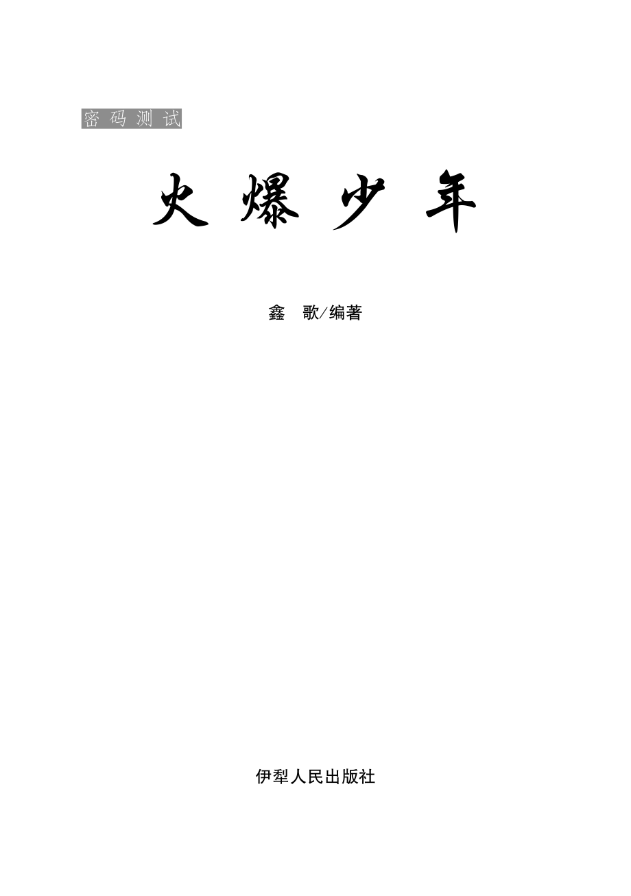 密码测试火爆少年_鑫歌编著.pdf_第2页