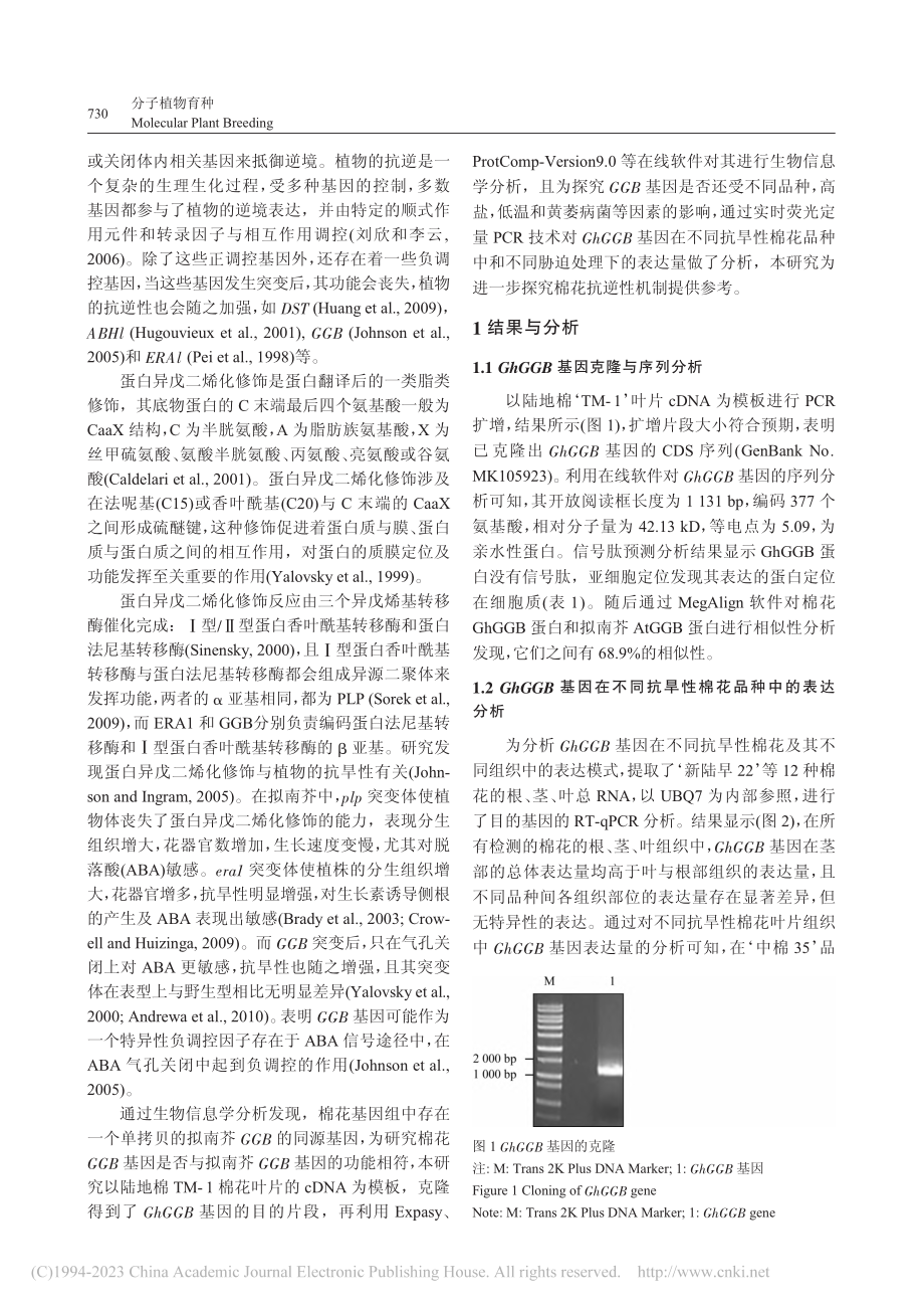 棉花GhGGB基因的克隆与表达分析_玛迪娜·木拉提.pdf_第2页