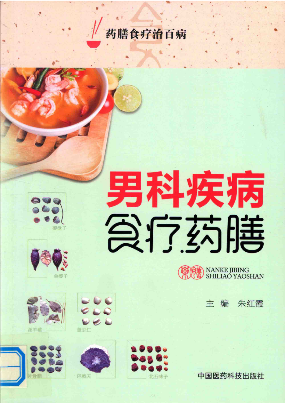 男科疾病食疗药膳药膳食疗治百病_朱红霞主编.pdf_第1页