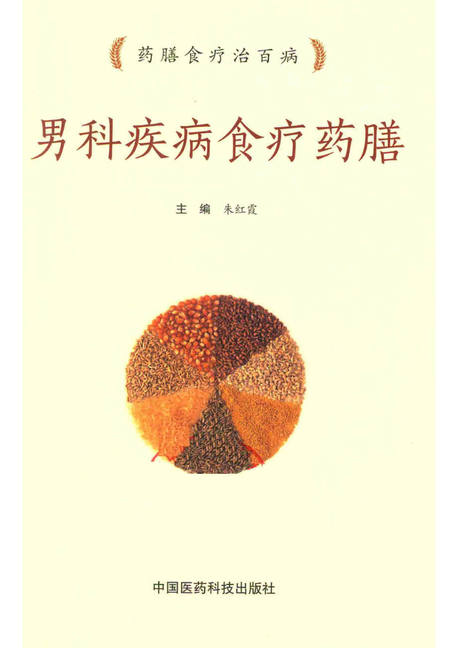 男科疾病食疗药膳药膳食疗治百病_朱红霞主编.pdf_第2页