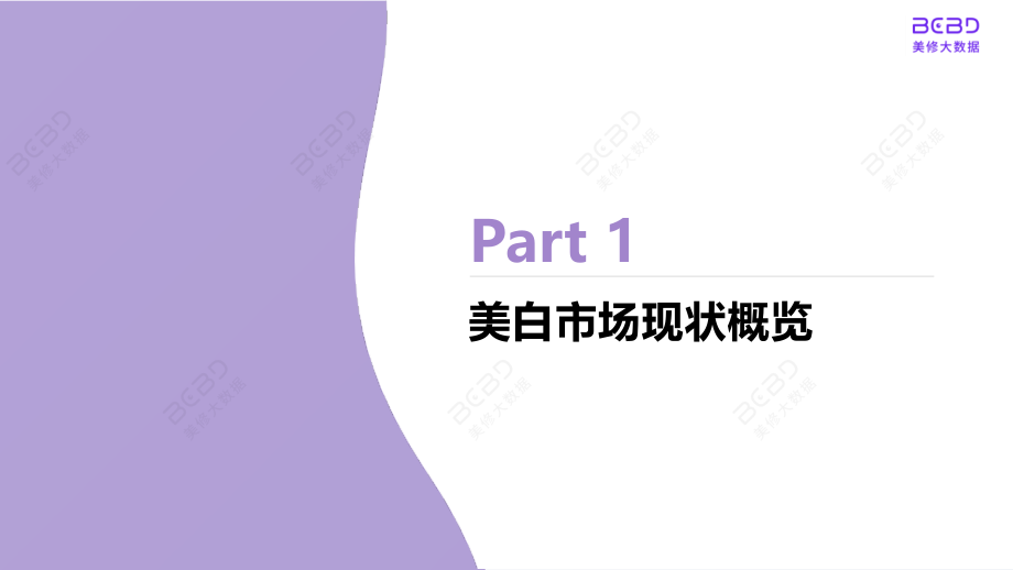 2022美白市场趋势指南-美丽修行.pdf_第3页