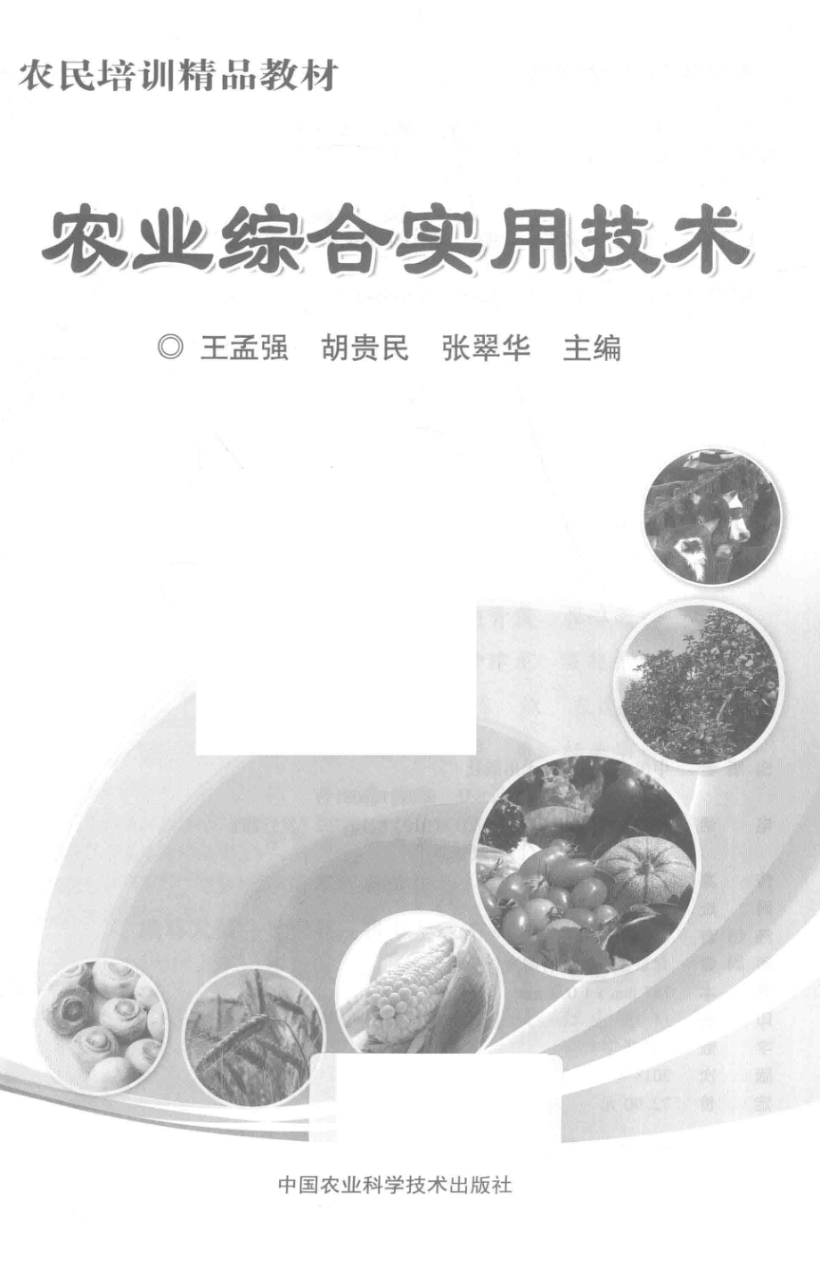 农业综合实用技术_王孟强胡贵民张翠华主编.pdf_第2页