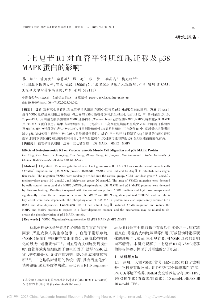 三七皂苷R1对血管平滑肌细...及p38MAPK蛋白的影响_蔡婷.pdf_第1页