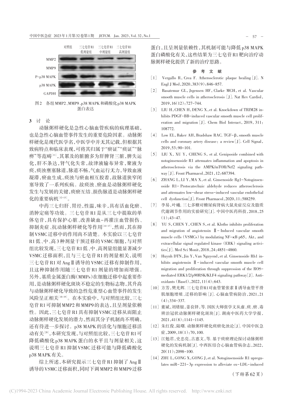 三七皂苷R1对血管平滑肌细...及p38MAPK蛋白的影响_蔡婷.pdf_第3页