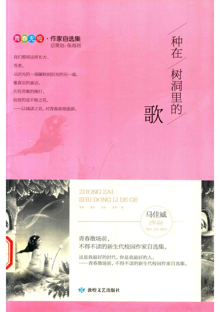 种在树洞里的歌_马佳威著.pdf_第1页