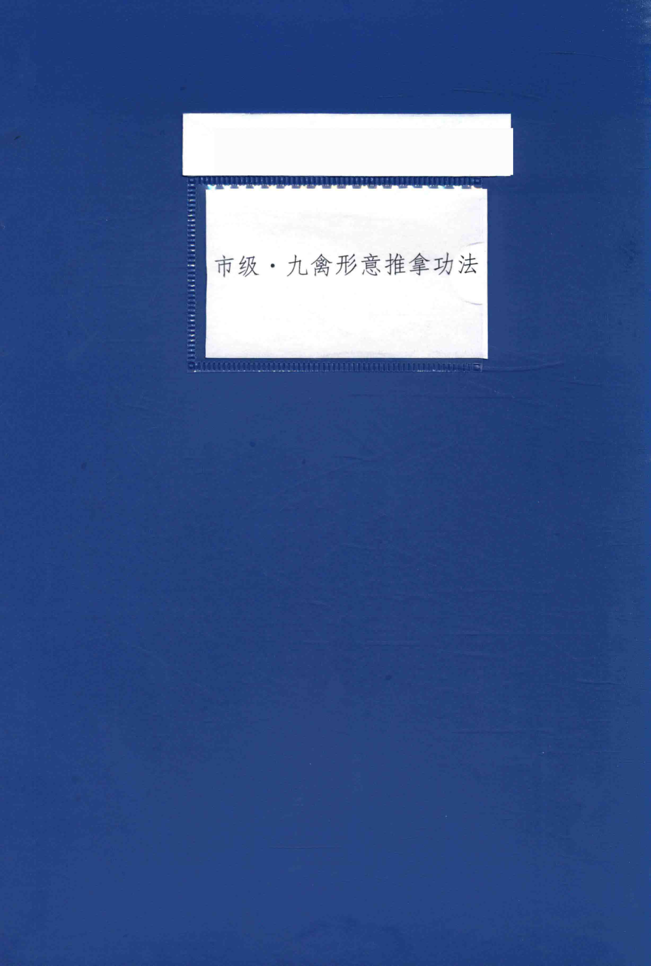 市级九禽形意推拿功法_.pdf_第1页