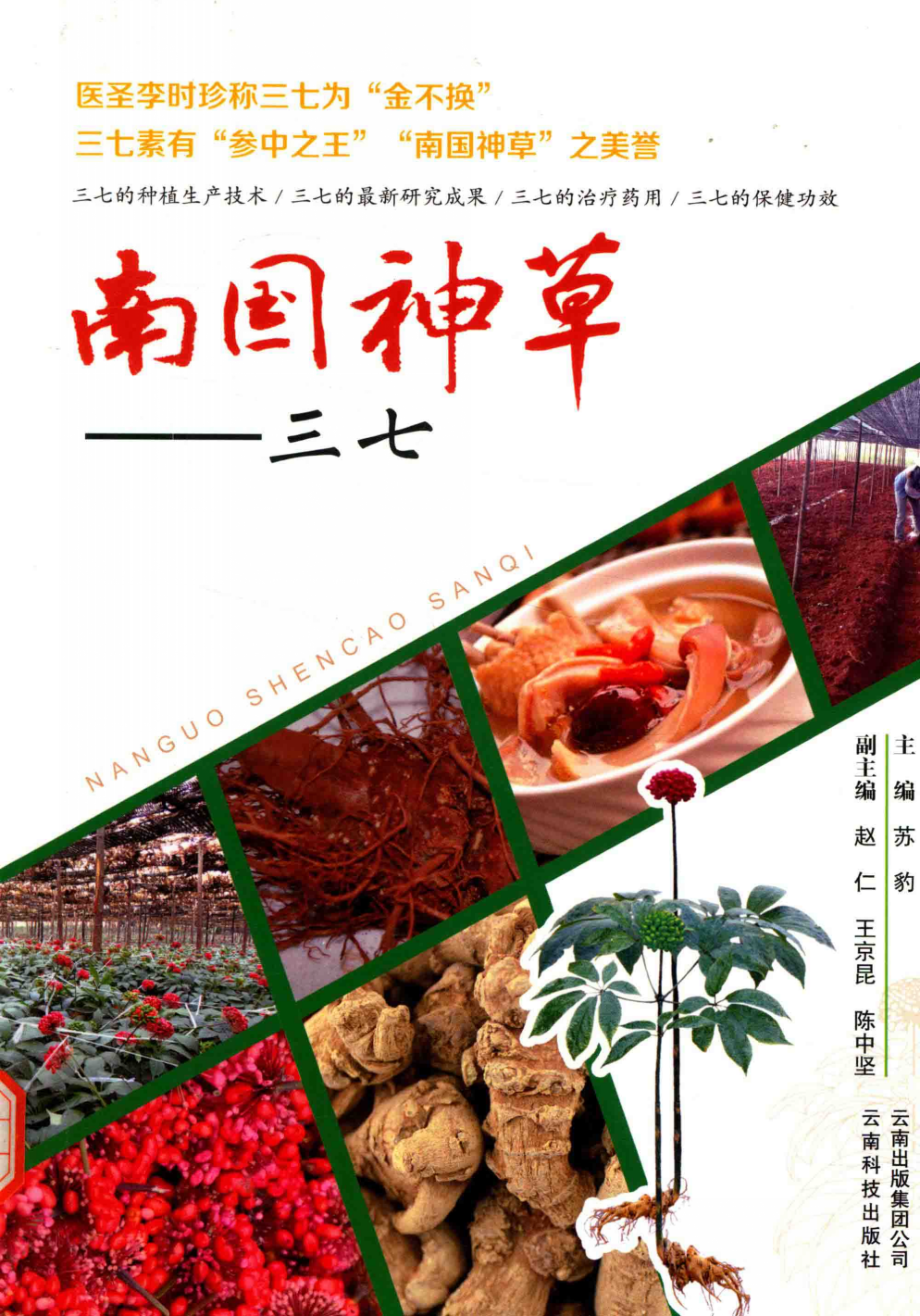 南国神草三七_《南国神草三七》编委会编.PDF_第1页