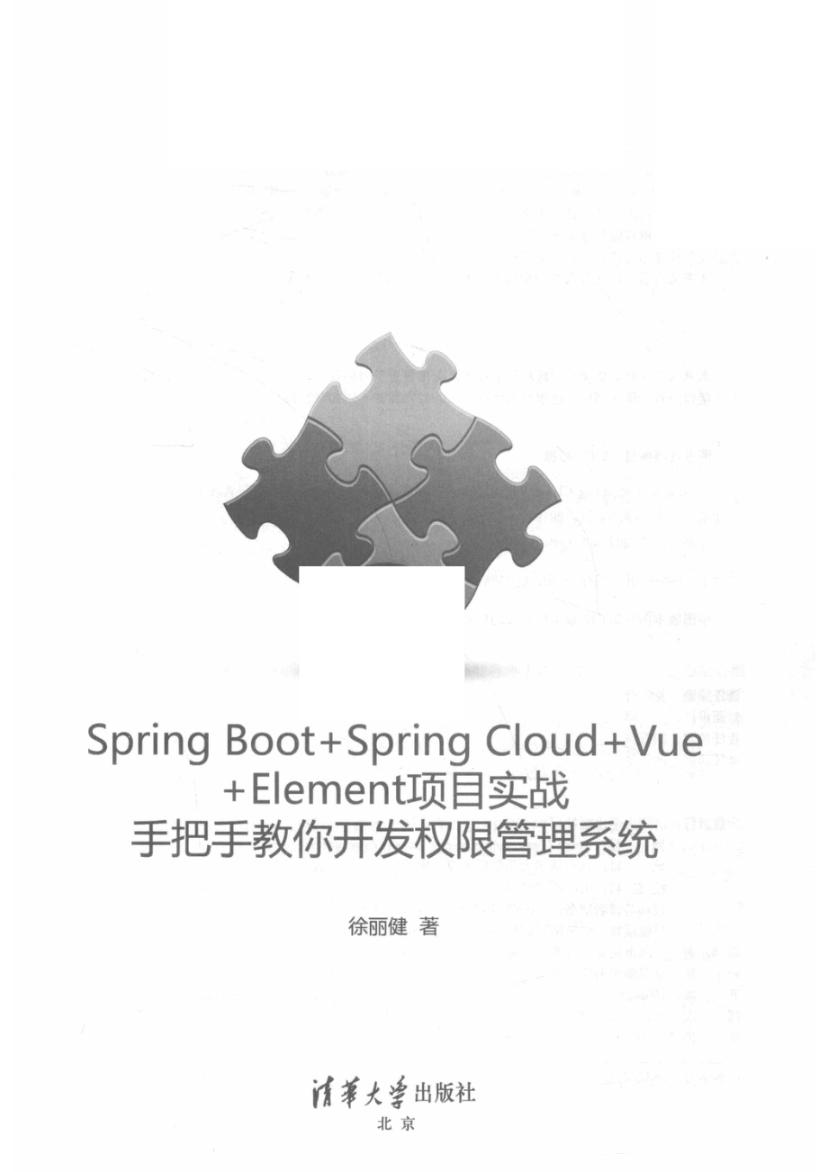 Spring Boot+Spring Cloud+Vue+Element项目实战手把手教你开发权限管理系统_徐丽健著.pdf_第2页