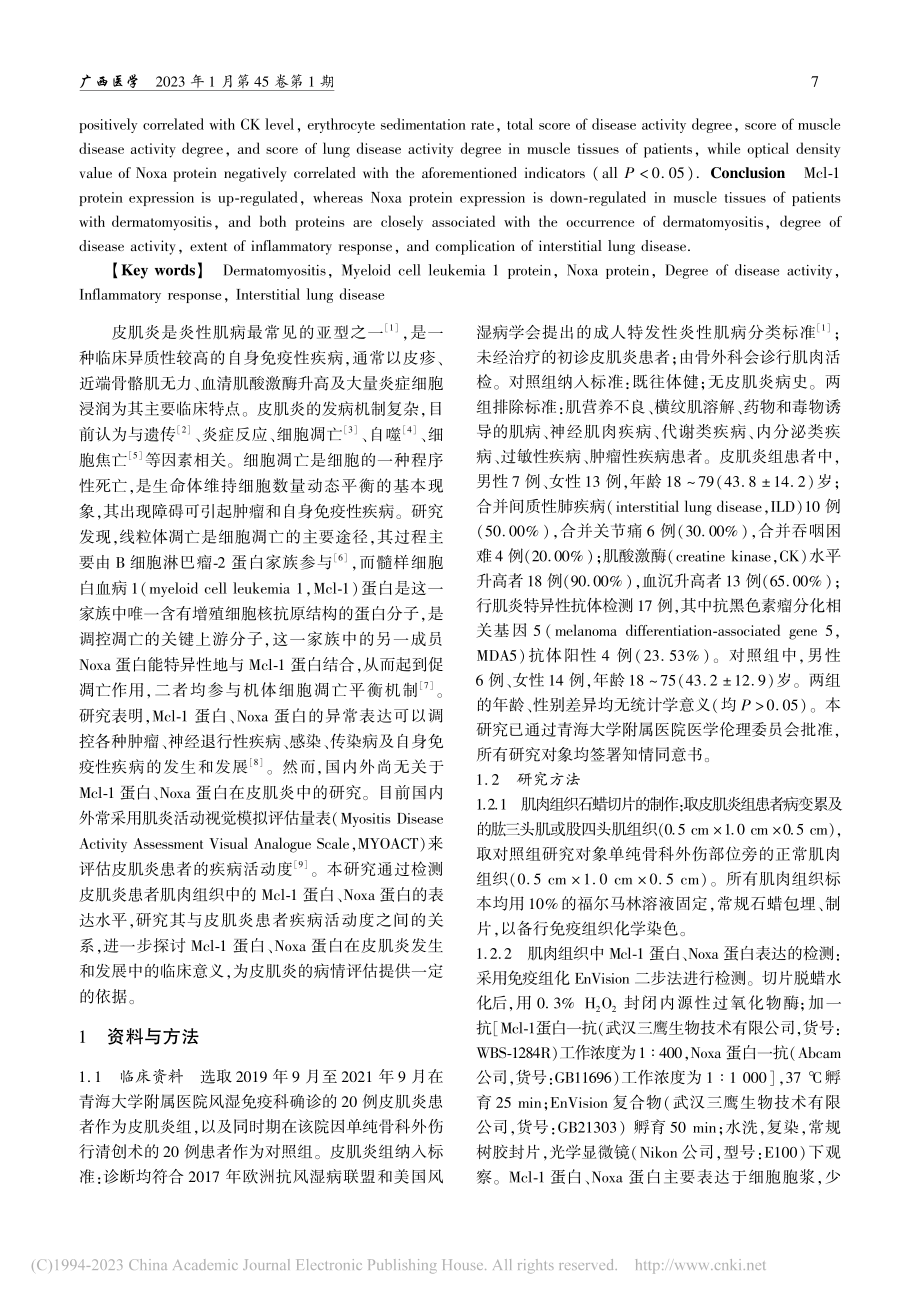 皮肌炎患者肌肉组织中Mcl...a蛋白的表达情况及临床意义_严丽芳.pdf_第2页