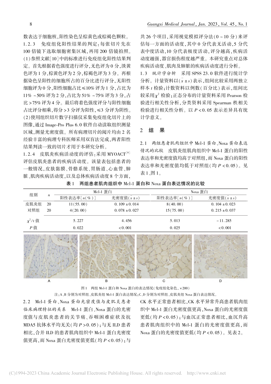 皮肌炎患者肌肉组织中Mcl...a蛋白的表达情况及临床意义_严丽芳.pdf_第3页