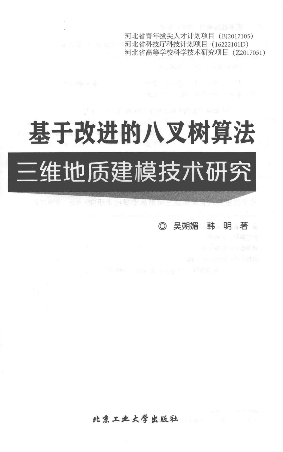 基于改进的八叉树算法三维地质建模技术研究_吴朔媚韩明著.pdf_第2页