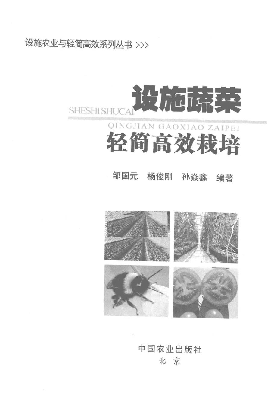 设施蔬菜轻简高效栽培_邹国元杨俊刚孙焱鑫编著.pdf_第2页