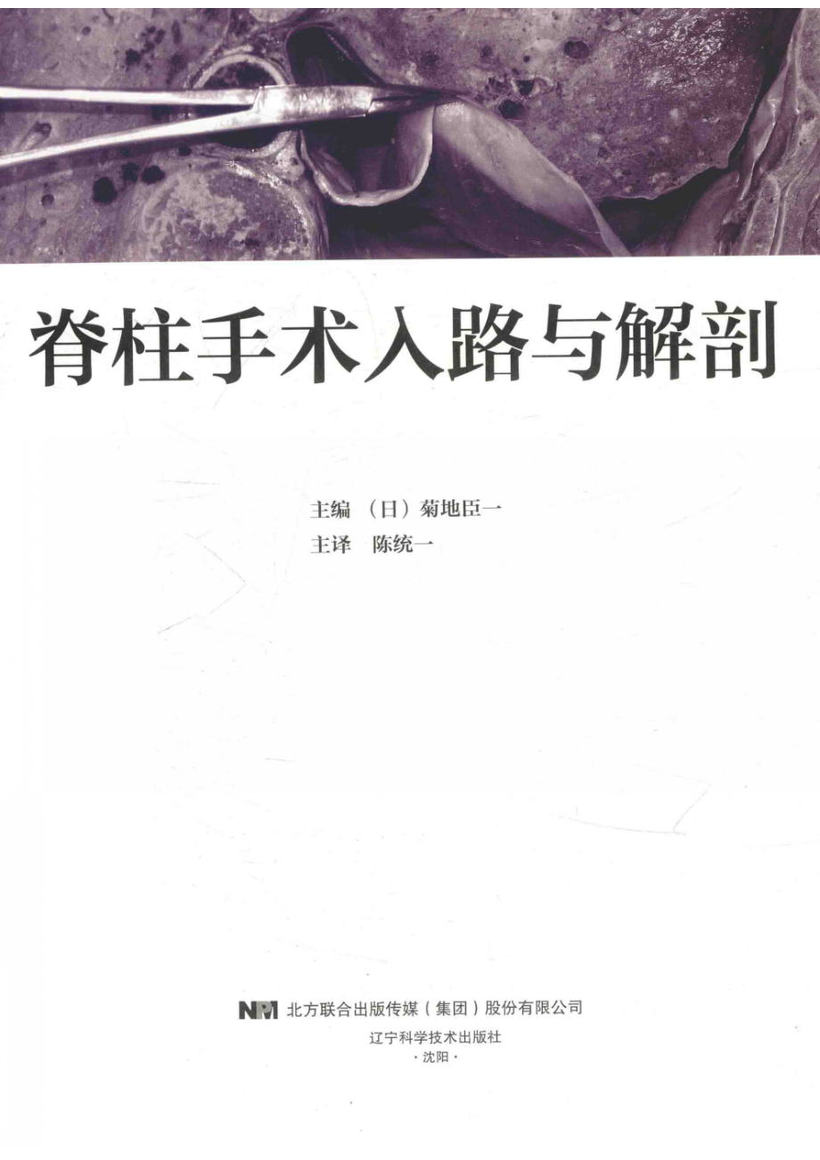 脊柱手术入路与解剖_（日）菊地臣一主编；陈统一主译.pdf_第2页