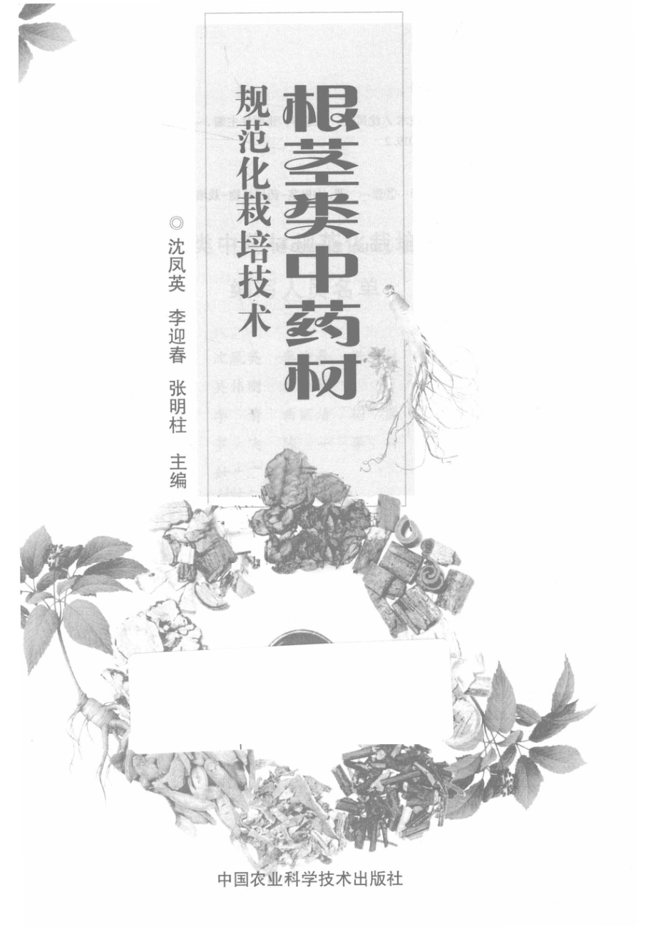 根茎类中药材规范化栽培技术_沈凤英.pdf_第2页