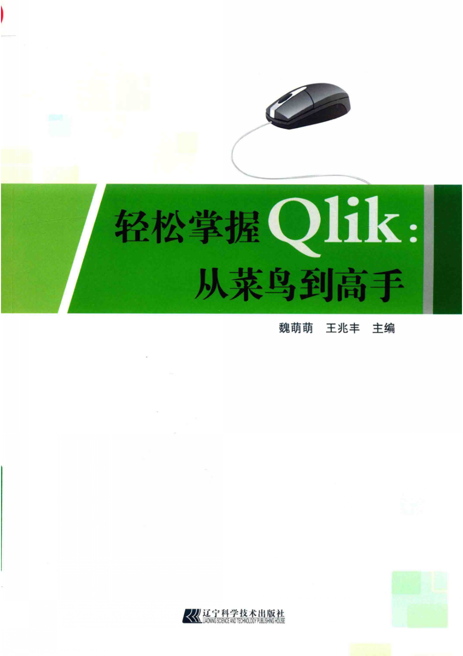 轻松掌握Qlik_魏萌萌王兆丰主编.pdf_第1页