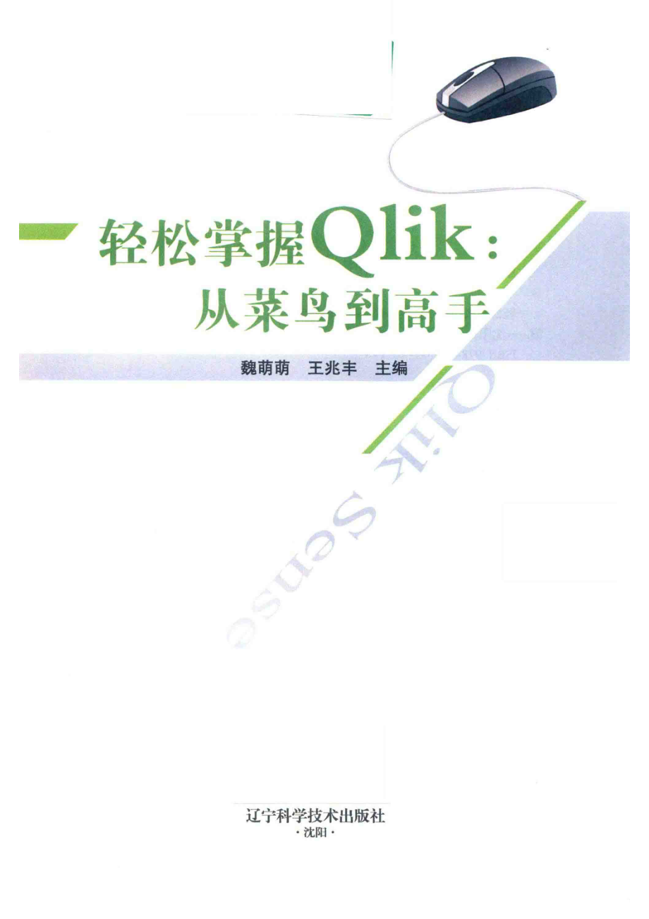 轻松掌握Qlik_魏萌萌王兆丰主编.pdf_第2页