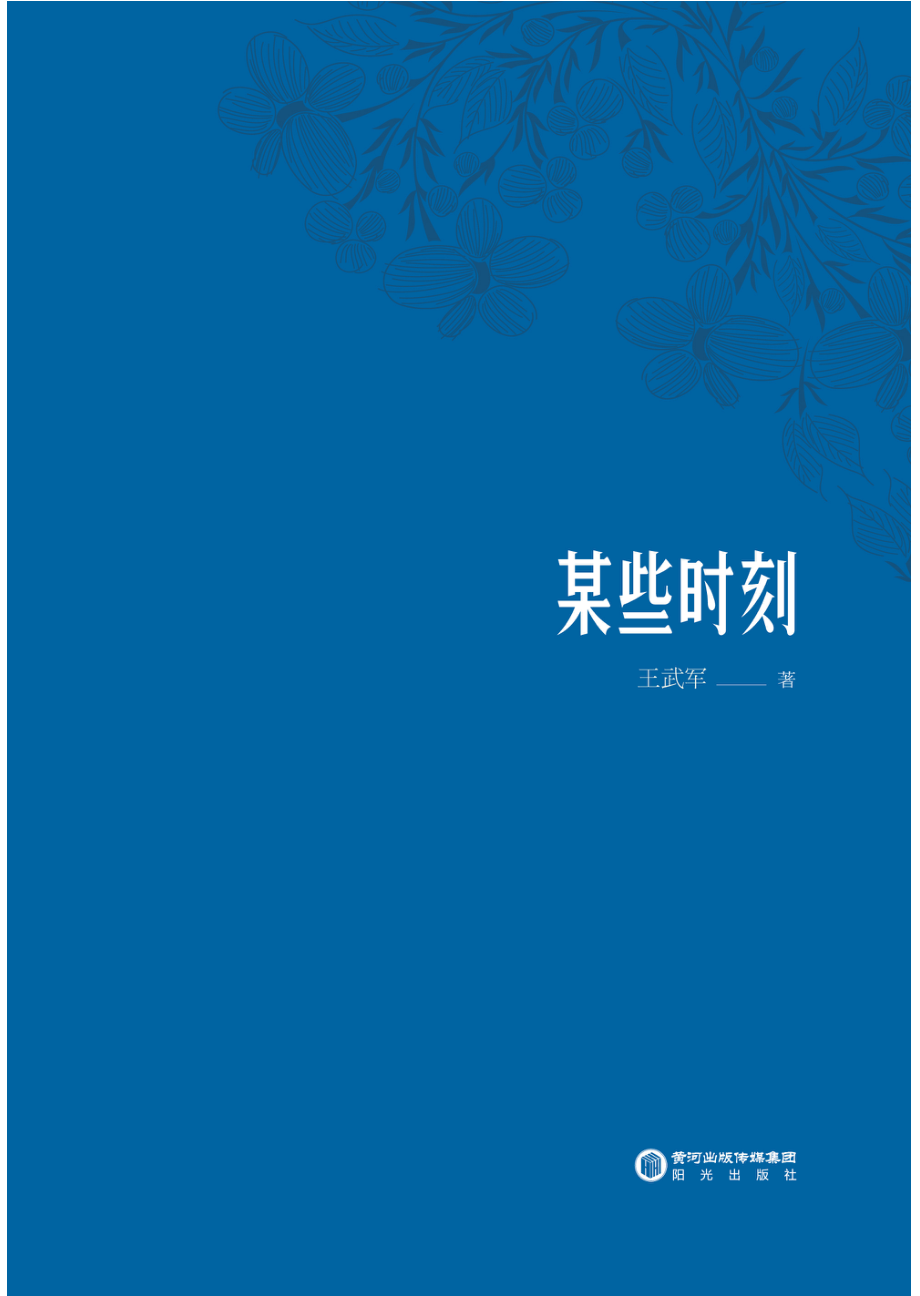 某些时刻_王武军著.pdf_第3页