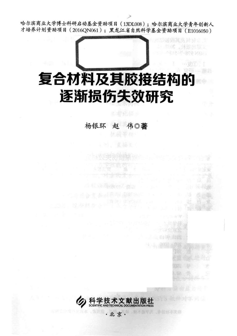 复合材料及其胶接结构的逐渐损伤失效研究_杨银环赵伟著.pdf_第2页