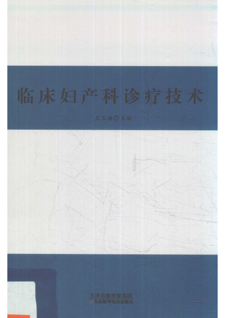 临床妇产科诊疗技术_王玉梅主编.pdf_第1页