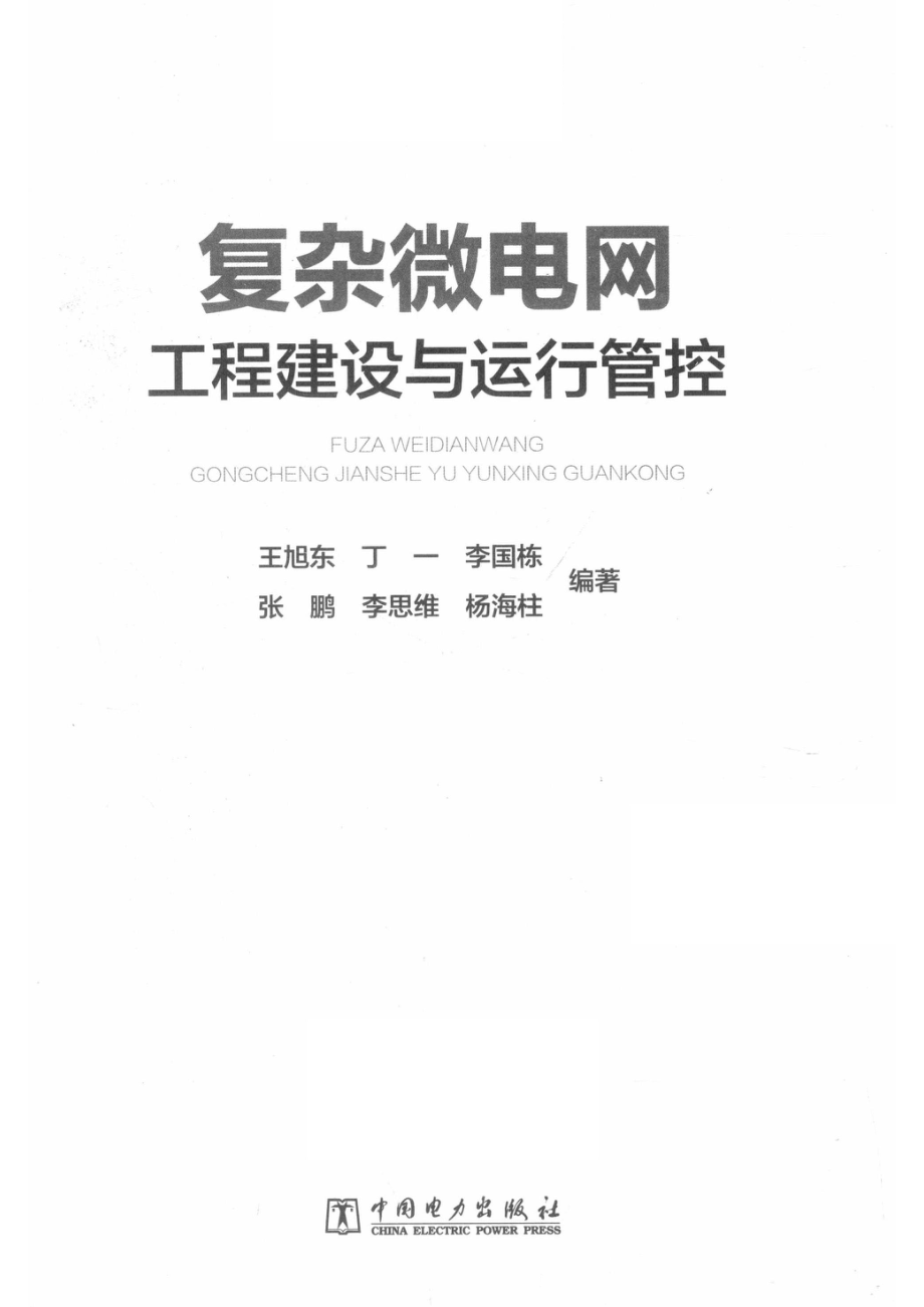 复杂微电网工程建设与运行管控_王旭东丁一李国栋张鹏李思维杨海柱编著.pdf_第2页