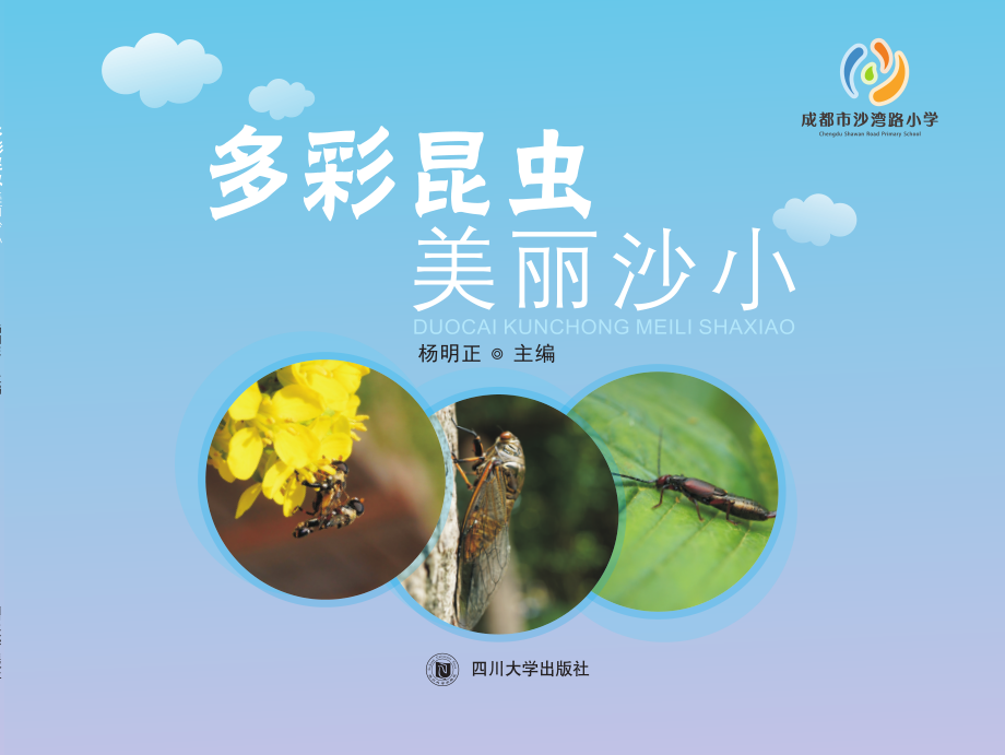 多彩昆虫美丽沙小_杨明正著.pdf_第1页