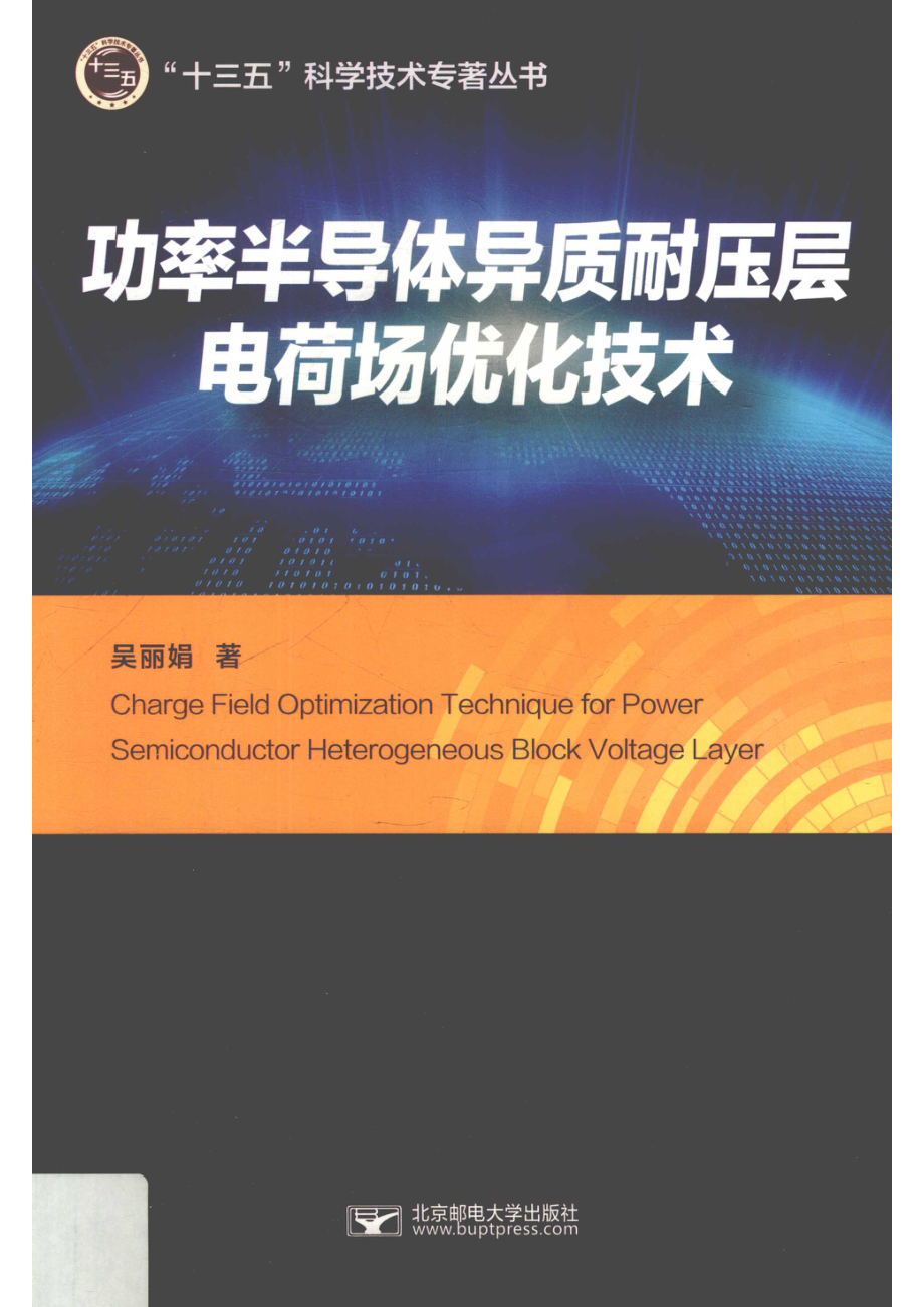 功率半导体异质耐压层电荷场优化技术_吴丽娟著.pdf_第1页