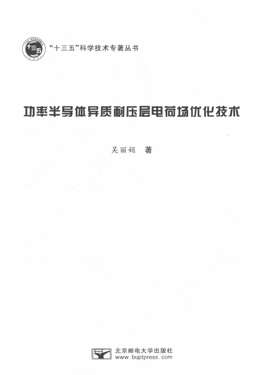 功率半导体异质耐压层电荷场优化技术_吴丽娟著.pdf_第2页