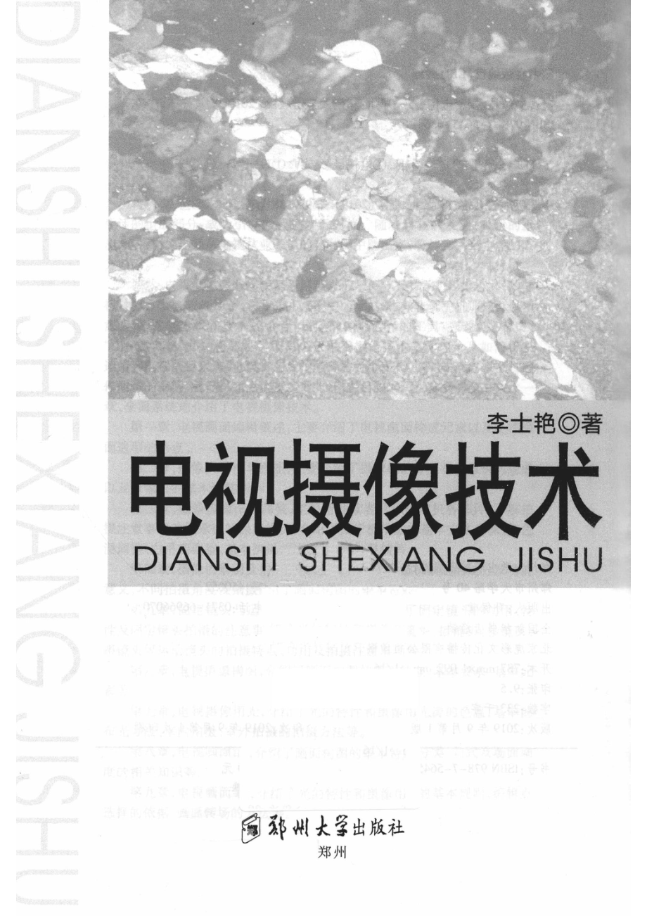 电视摄像技术_李士艳著.pdf_第2页