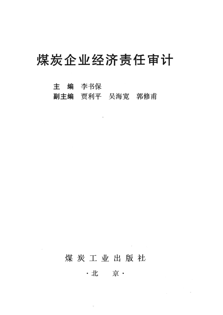 煤炭企业经济责任审计_14572512.pdf_第2页