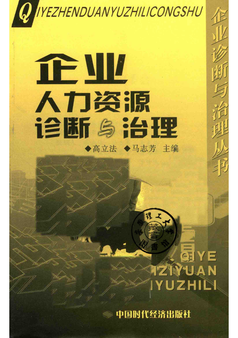 企业人力资源诊断与治理_14588756.pdf_第2页