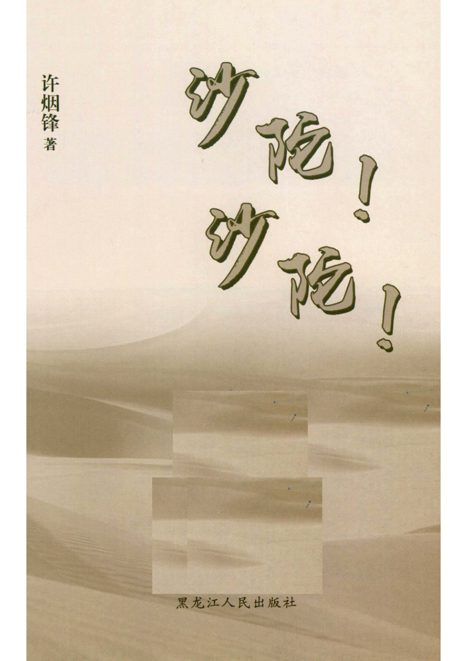 沙陀！沙陀！_许烟锋著.pdf_第2页