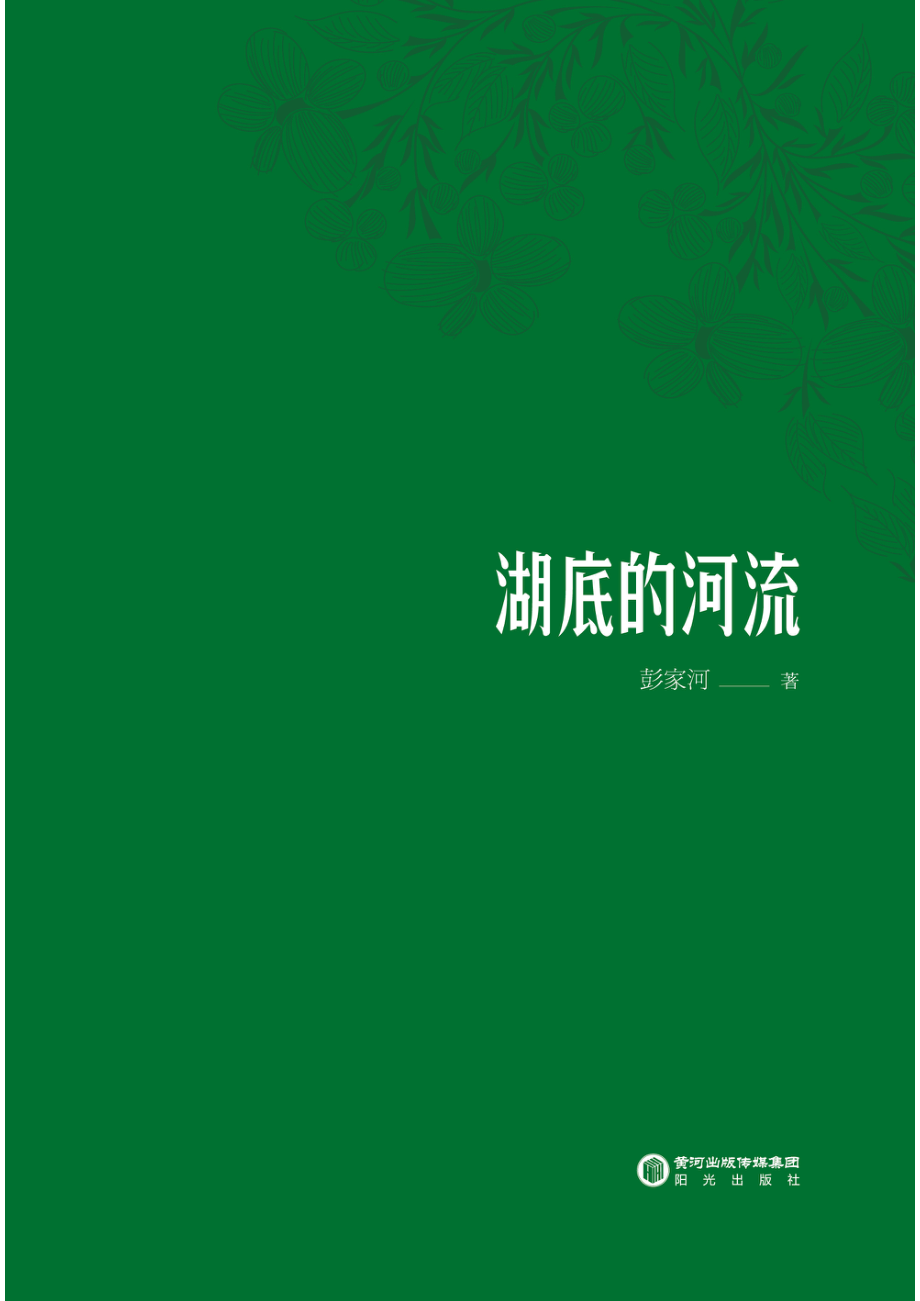 湖底的河流_彭家河著.pdf_第2页