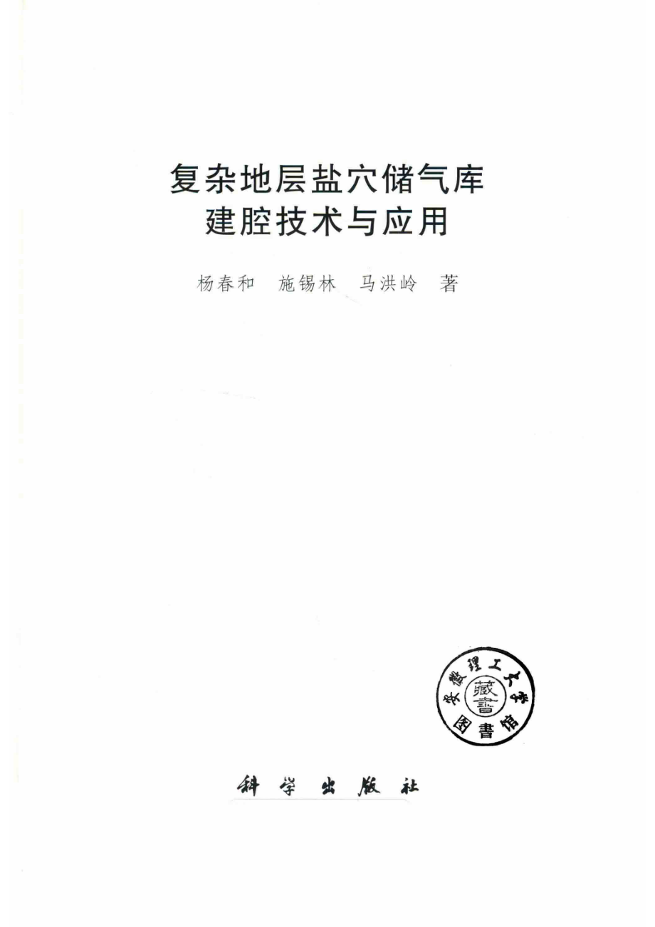 复杂地层盐穴储气库建腔技术与应用_杨春和施锡林马洪岭著.pdf_第2页