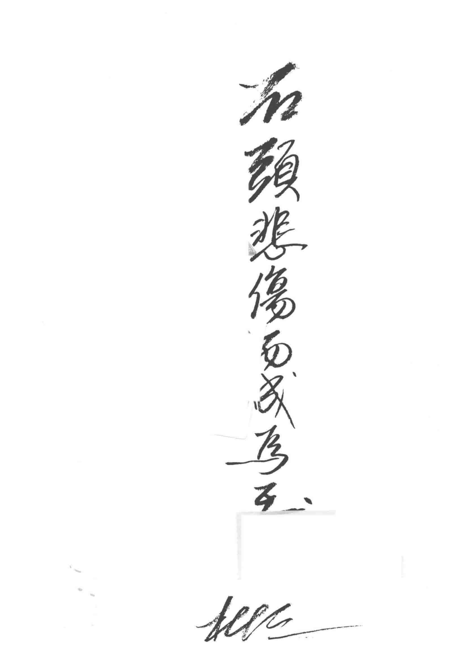 石头悲伤而成为玉_杜十三著.pdf_第2页