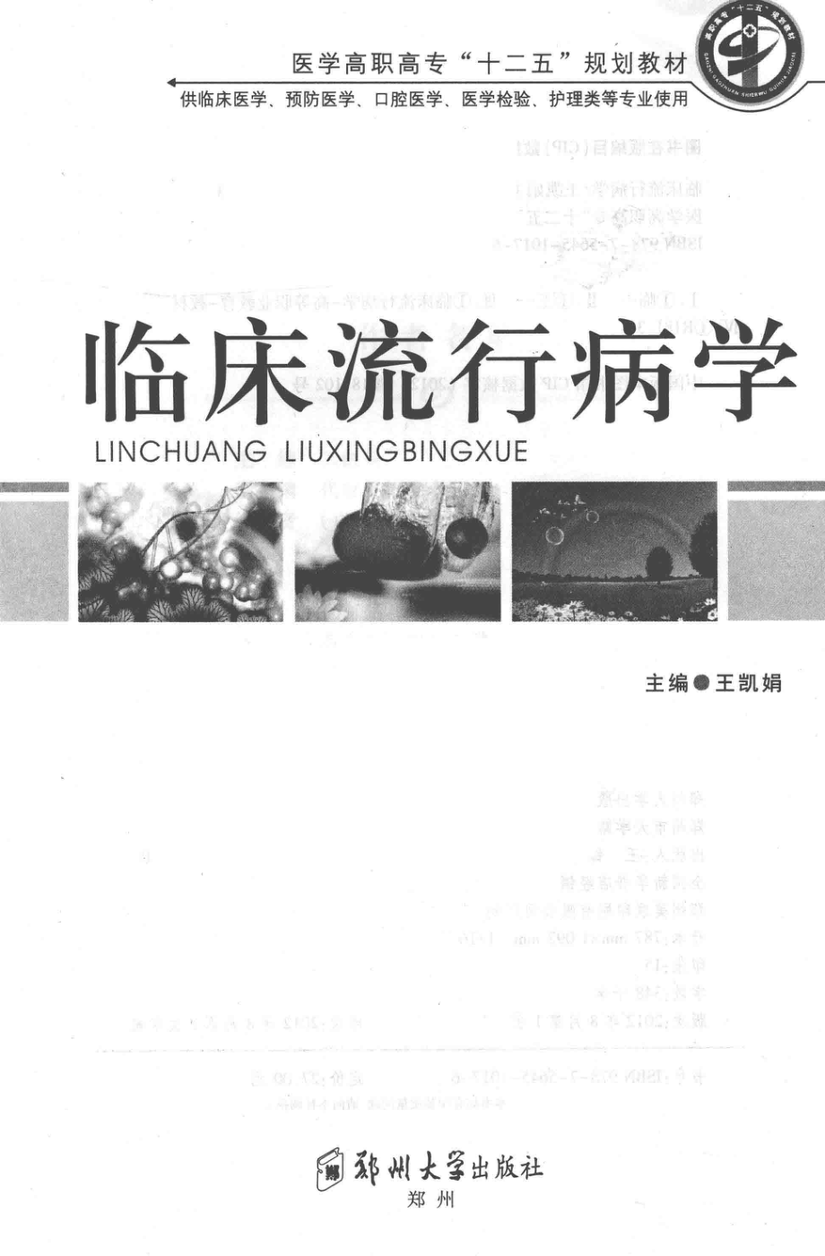 临床流行病学_王凯娟主编；代丽萍宋春花副主编；王鹏王凯娟代丽萍等编者；王鹏秘书.pdf_第2页