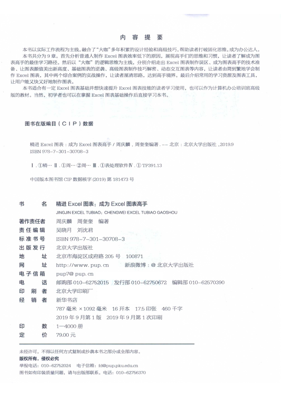 精进Excel图表成为Excel图表高手.pdf_第3页