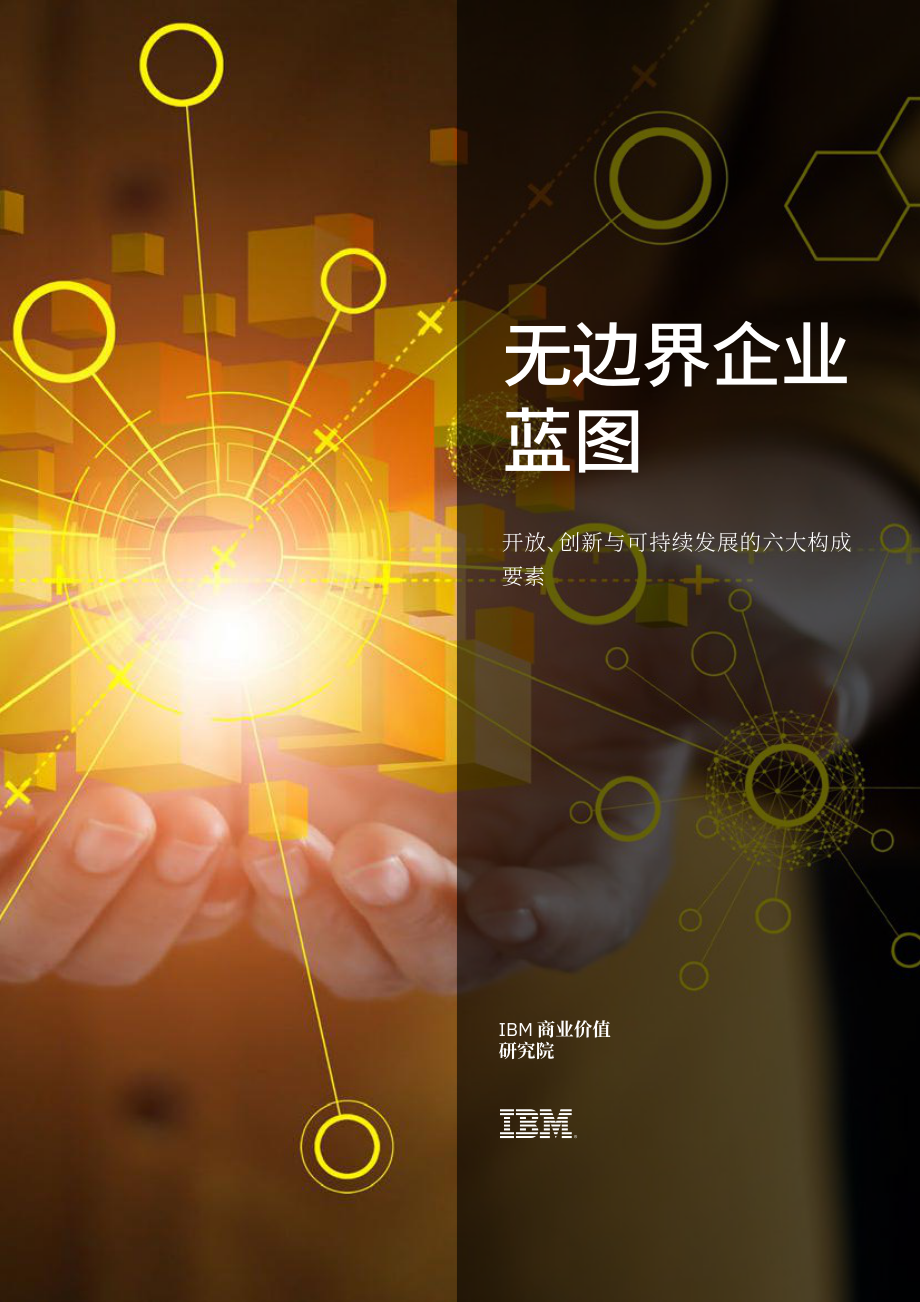 IBM-无边界企业成为新一代组织和运营模式.pdf_第1页