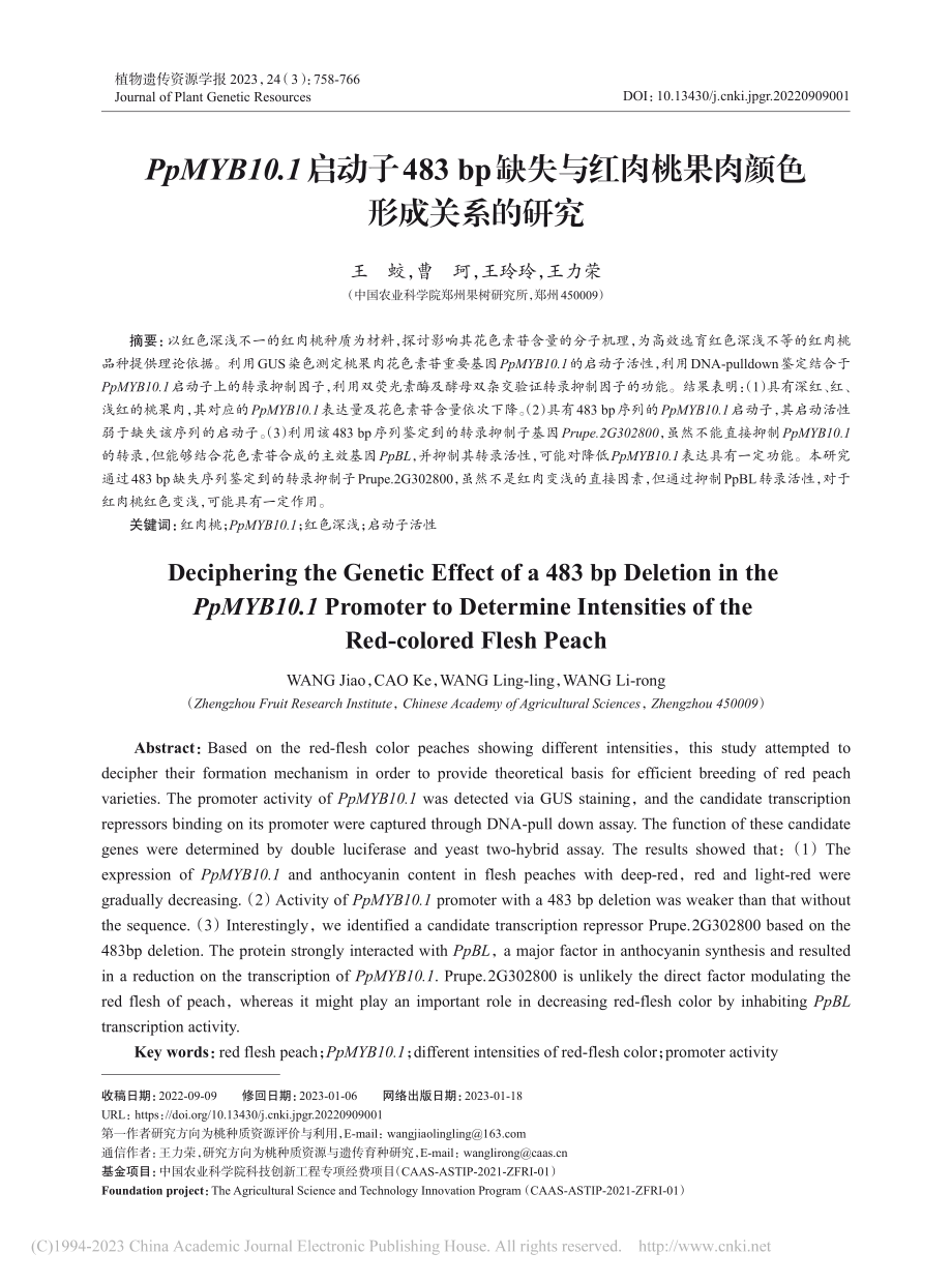 PpMYB10.1启动子4...肉桃果肉颜色形成关系的研究_王蛟.pdf_第1页