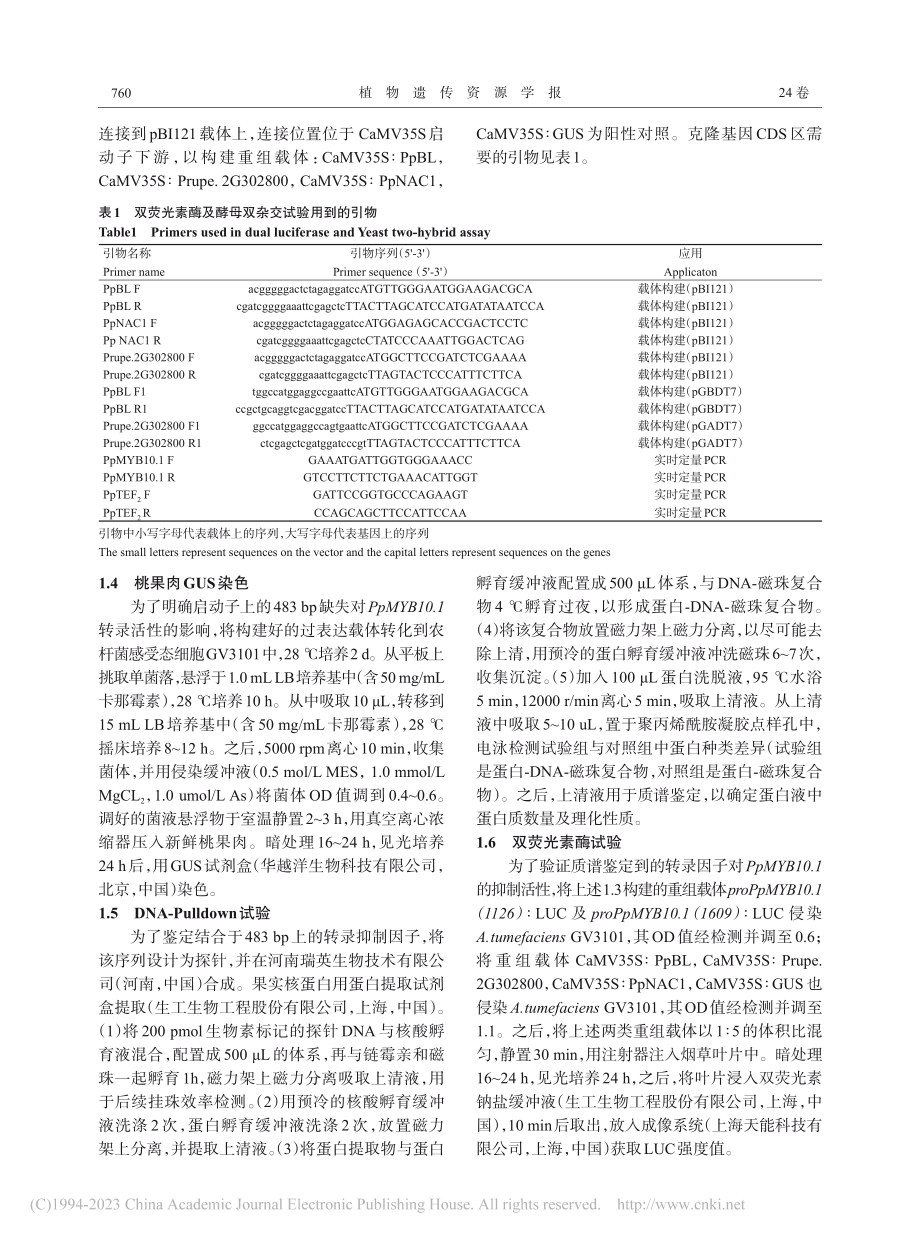 PpMYB10.1启动子4...肉桃果肉颜色形成关系的研究_王蛟.pdf_第3页