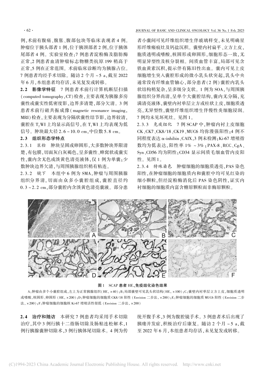 7例胰腺浆液性囊腺瘤临床病理分析_冯怡锟.pdf_第2页