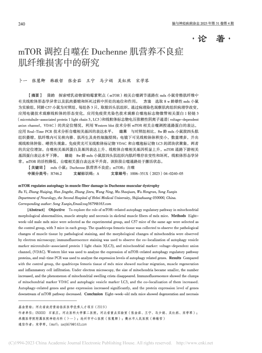 mTOR调控自噬在Duch...养不良症肌纤维损害中的研究_卜一.pdf_第1页