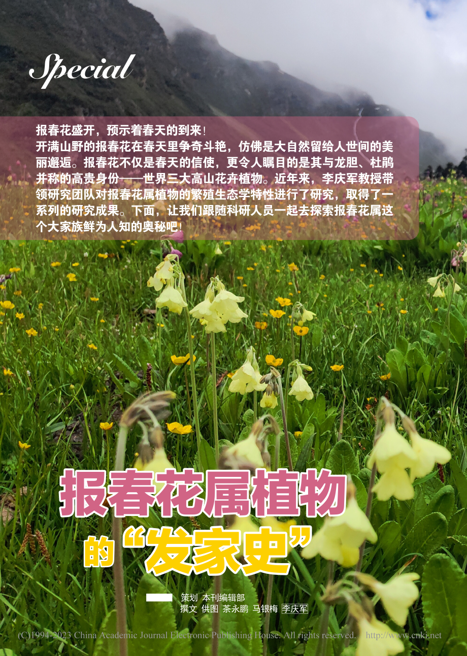 报春花属植物的“发家史”_茶永鹏.pdf_第1页