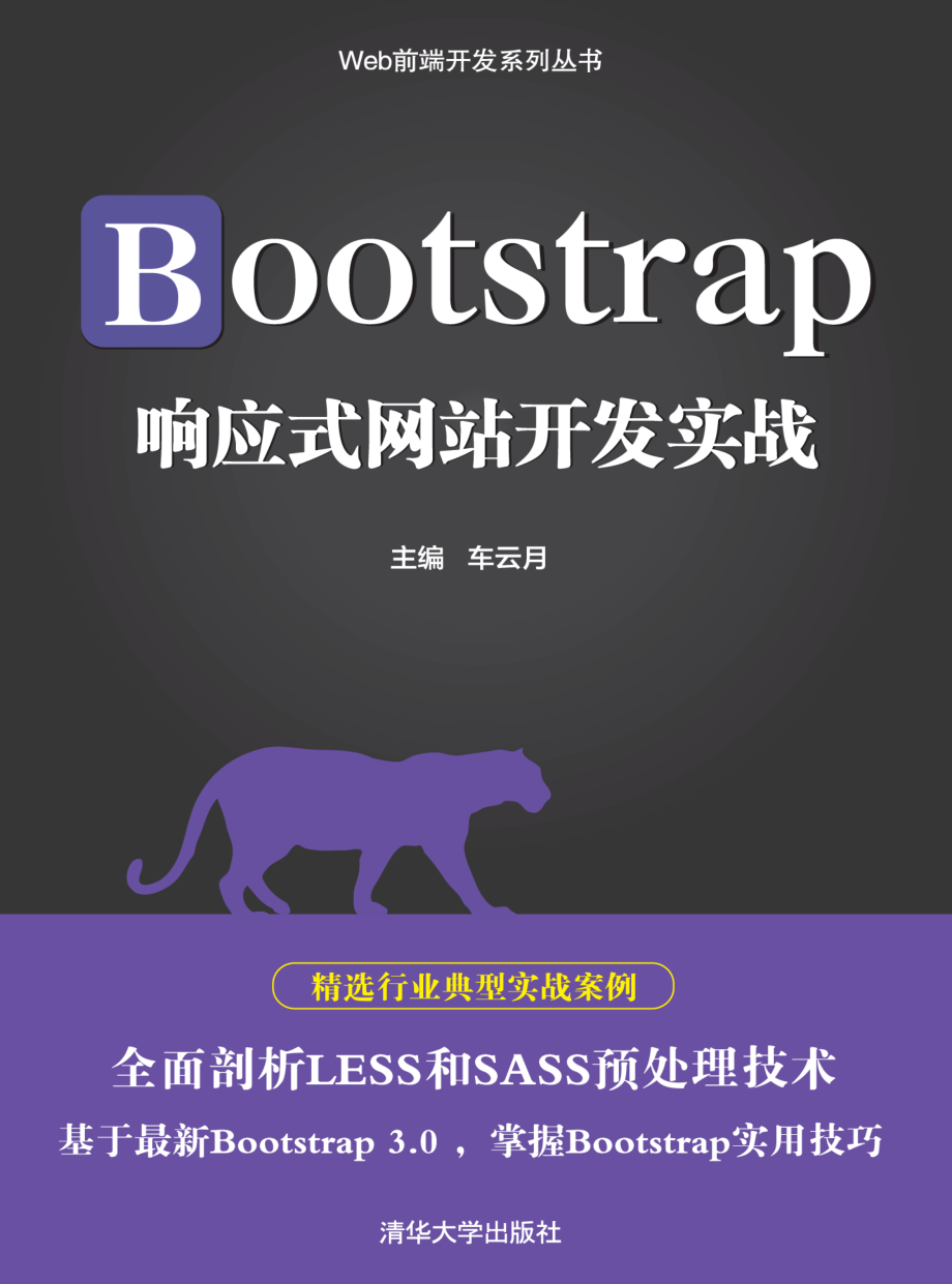 Bootstrap响应式网站开发实战.pdf_第1页