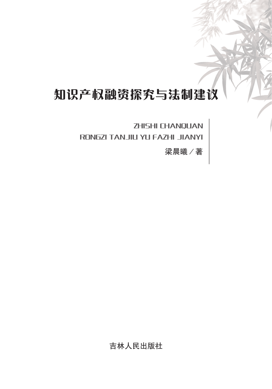 知识产权融资探究与法制建议_梁晨曦著.pdf_第2页