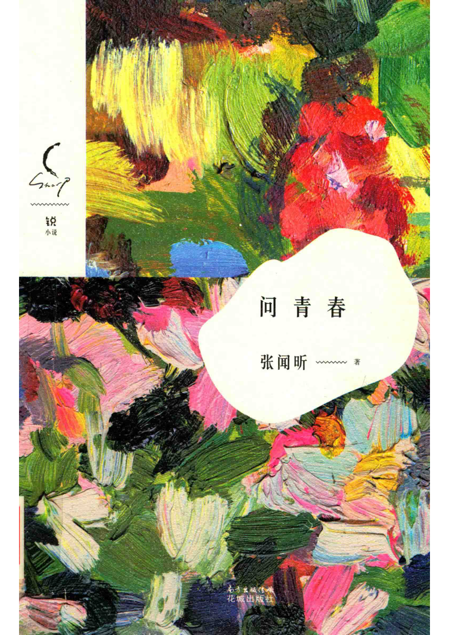 问青春_张闻昕著.pdf_第1页