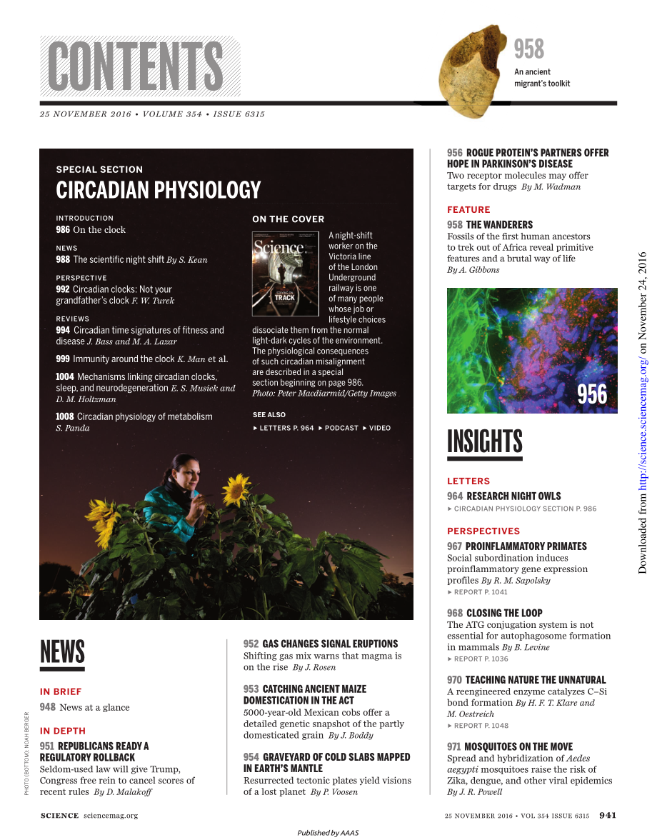 Science 2016-11-25.pdf_第2页