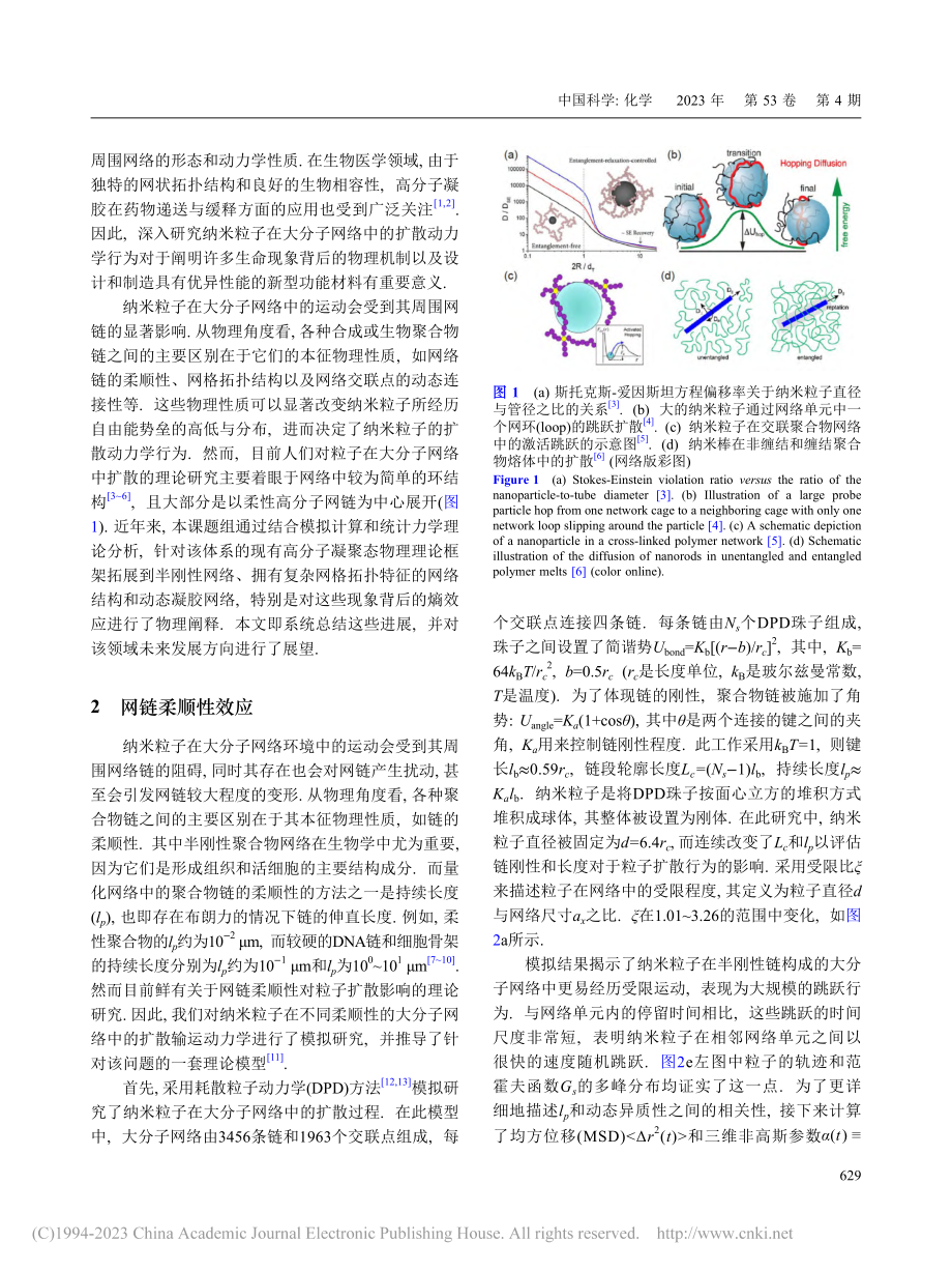 大分子网络体系中的反常扩散动力学机制_张轩钰.pdf_第2页