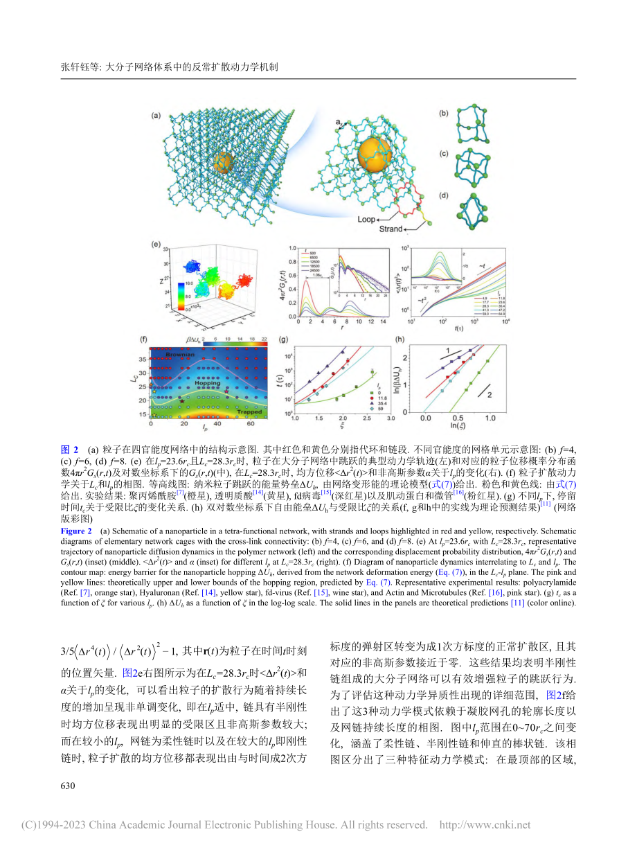 大分子网络体系中的反常扩散动力学机制_张轩钰.pdf_第3页