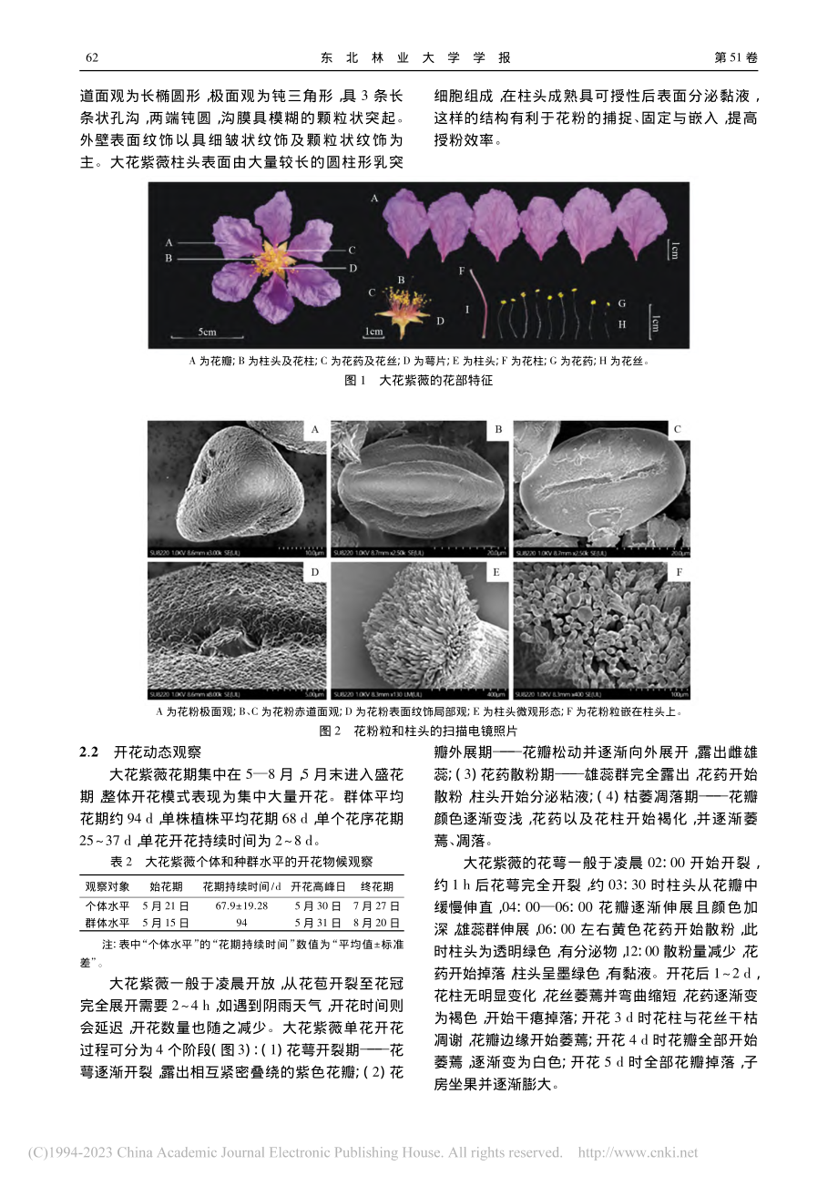 大花紫薇花部综合特征和繁育特性_孙阳.pdf_第3页